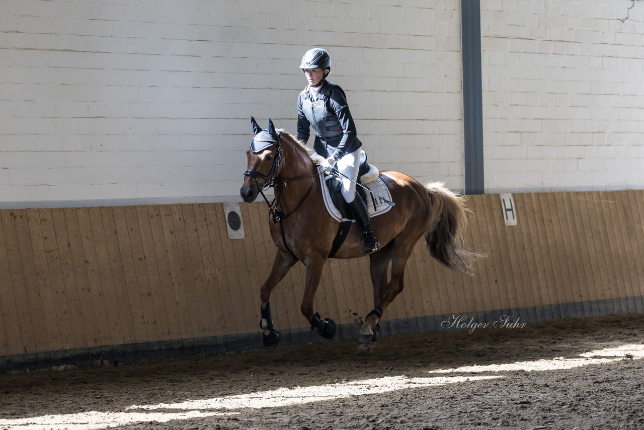 Bild 2 - Pony Akademie Turnier